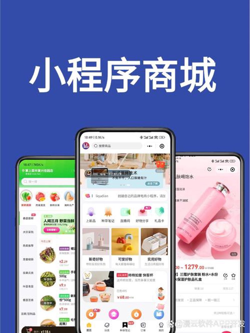 软件定制开发：个性化解决方案的未来