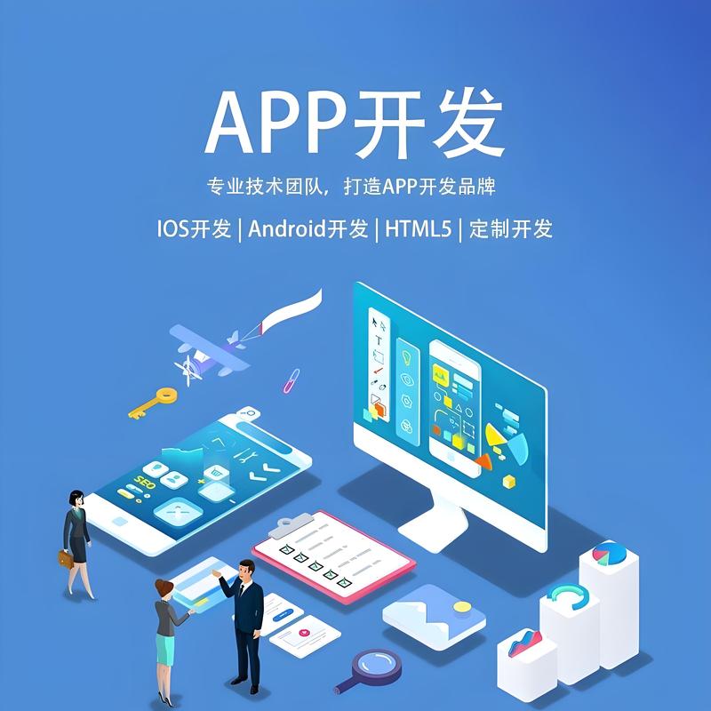 APP开发选购指南：打造你的手机专属应用